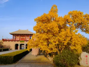 Popular Fall Viewing Attractions in Dunhuang