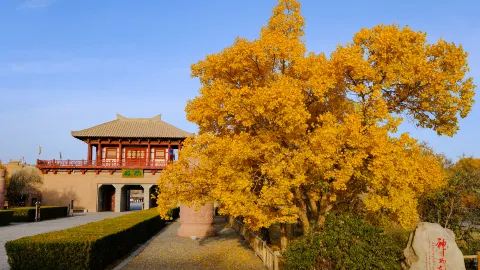 Yang Guan attraction in Gansu
