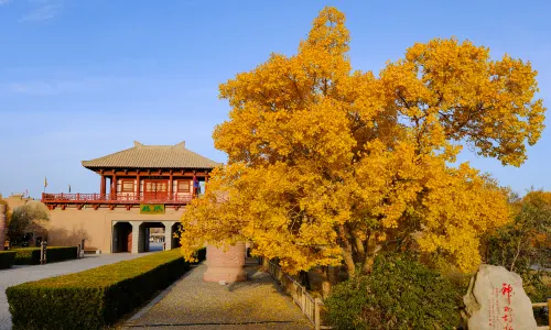 Yangguan Pass Relic tourism District