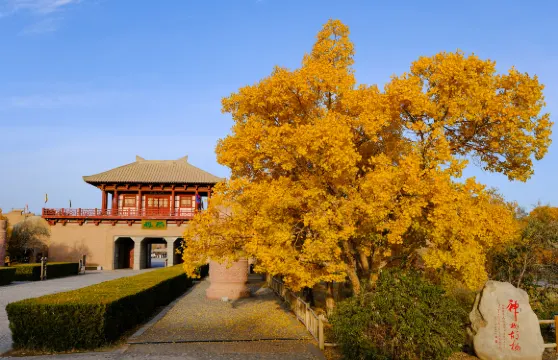 陽関景區門票 + 觀光車票2人