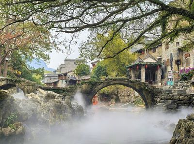 With Dragon Bridge