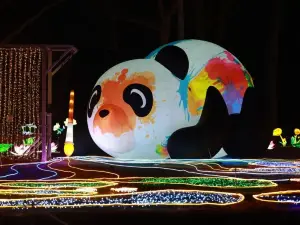 The 40th China Qinhuai Lantern Festival and the 2nd China-France Barcarès-Qinhuai Lantern Festival