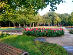 North Park