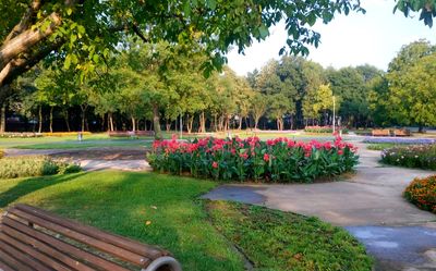North Park
