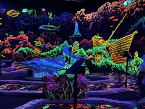 Zap Zone Glo-Golf - Canton