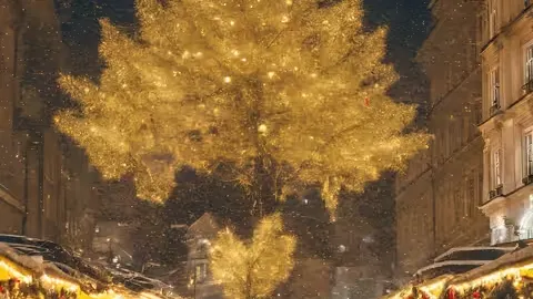 Schönbrunn Christmas Market attraction in เวียนนา