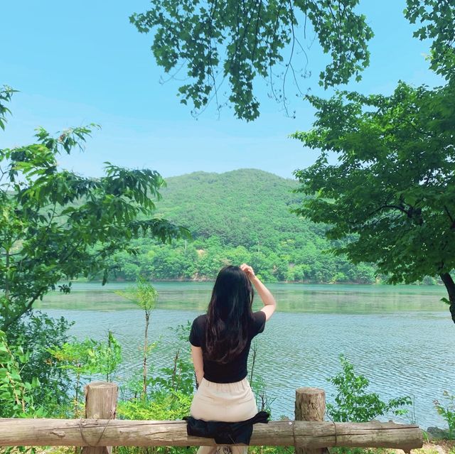 [여름엔 남이섬으로 떠나요~]
