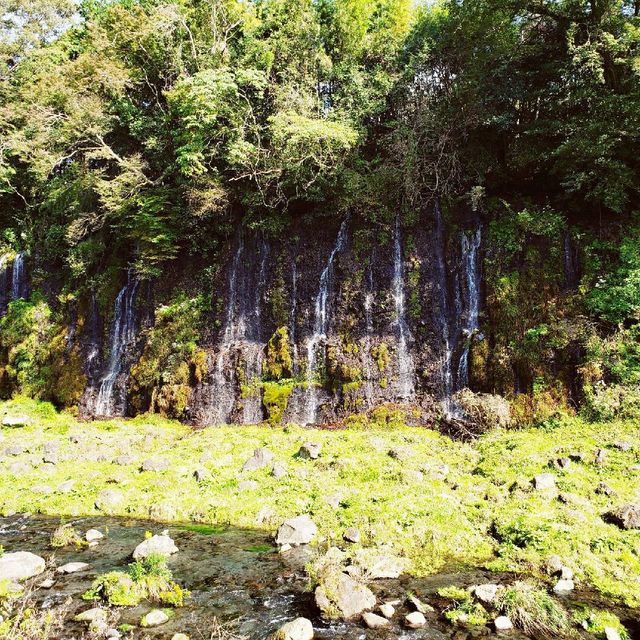 【富士宮】白糸の滝