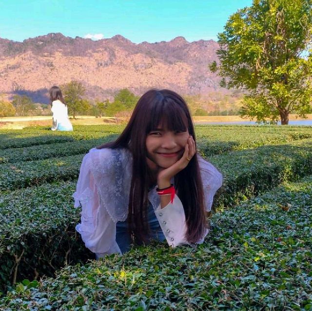 Pirom Cafe (ภิรมย์คาเฟ่)