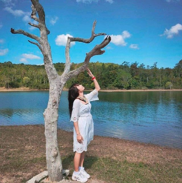 อ่างเก็บสายน้ำสายศร อุทยานแห่งชาติเขาใหญ