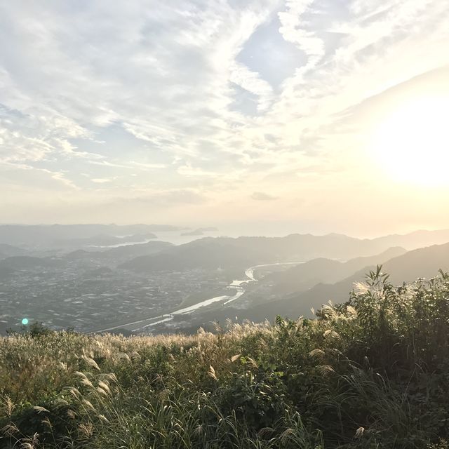 和歌山　関西屈指のススキの名所　
