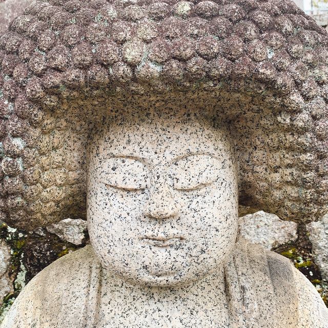 京都　アフロ大仏様