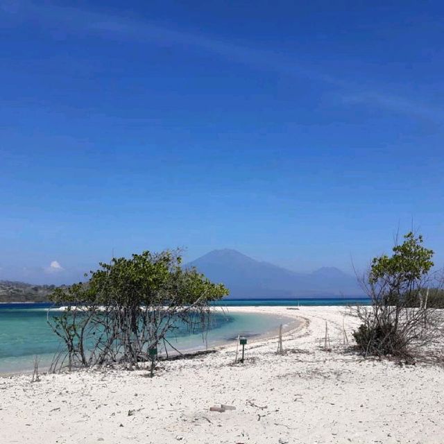 Lost in Paradise, Menjangan Island