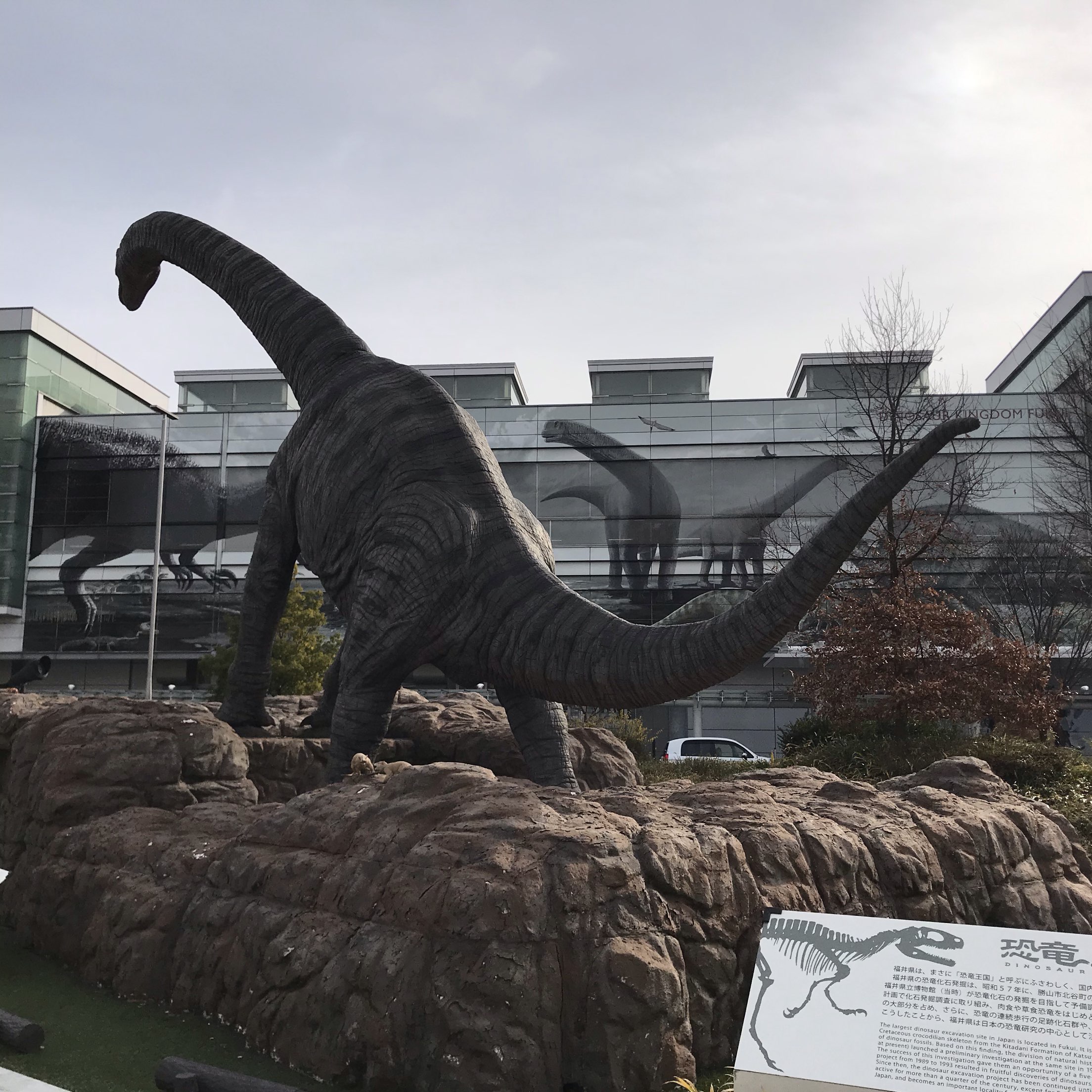 福井駅恐竜広場 福井駅西口広場には恐竜モニュメントと恐竜足跡 Trip Com 福井の旅のブログ