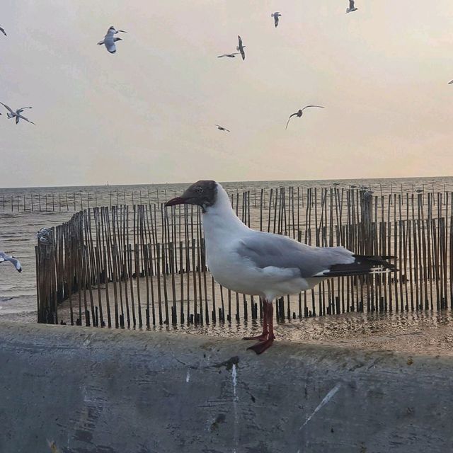 altTitle