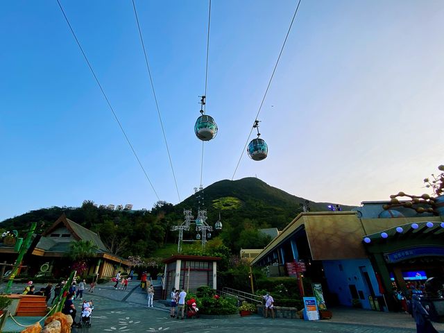 睇靚景、玩遊戲！香港海洋公園親子游