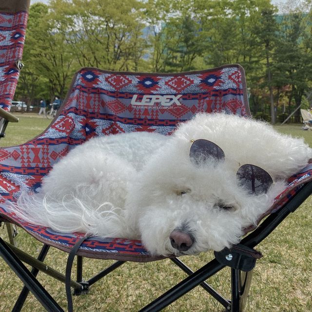 서울근교 숨은핫플 미사 경정공원