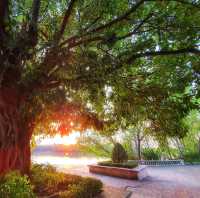 สวนมรุพงษ์​