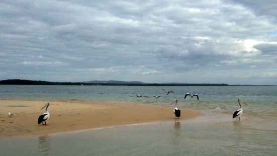 澳大利亚昆士兰州的阳光海岸位于澳洲东海岸的中部，马卢奇郡是阳