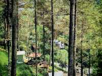 Dago dream park