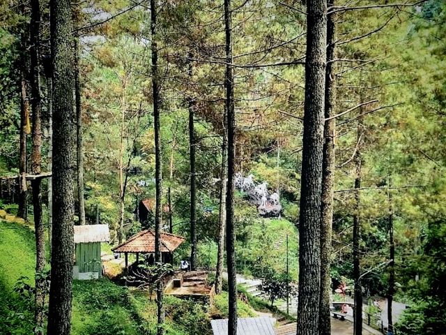 Dago dream park