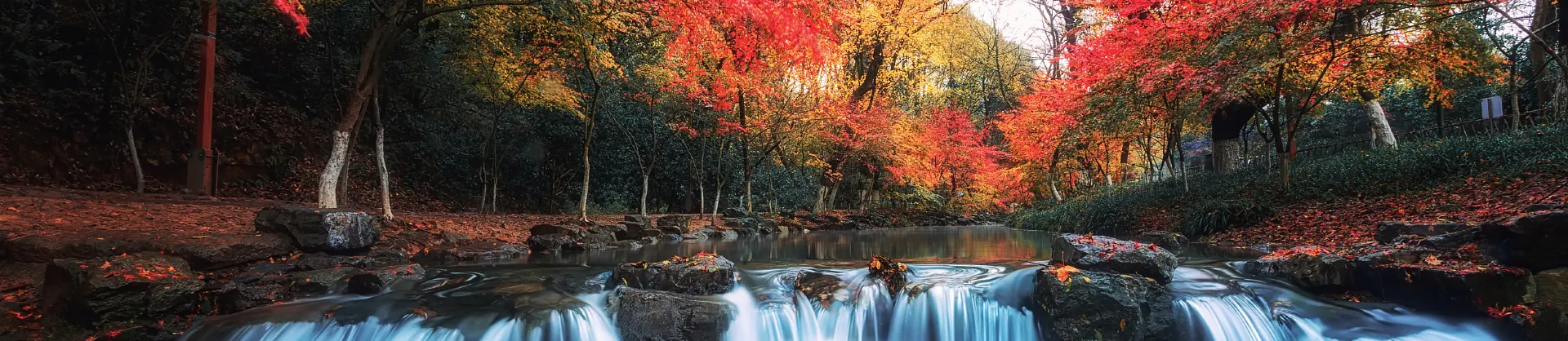 Trending Attractions