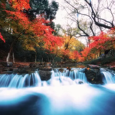 杭州 飛 深圳