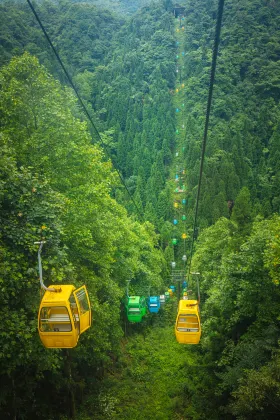 Отзывы об отеле Jin Yuan International Hotel