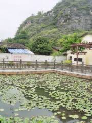 Luoding Haihui Eco-Agricultural Sightseeing Demonstration Park