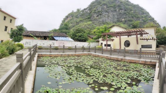 Luoding Haihui Eco-Agricultural Sightseeing Demonstration Park