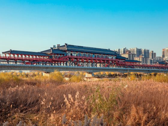 Ancient Ferry Crossing and Lounge Bridge