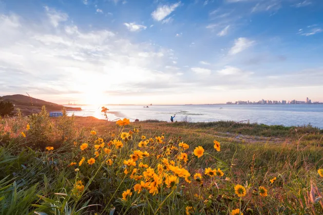 Отзывы об отеле jimoJI  hotel  jimo