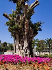 濱河公園遊樂園