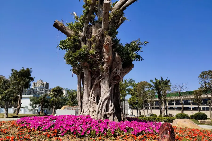 Binhegong Amusement Park