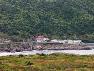 飛聖約翰斯機票