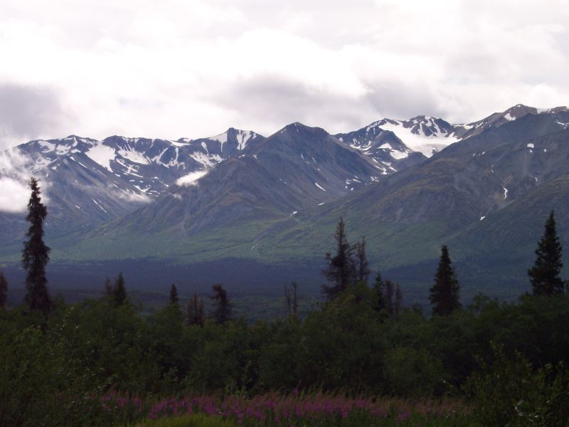 Sulphur Mountain