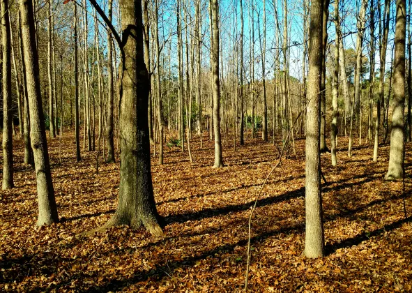 Для бизнес-поездок Отели в г. Монреаль