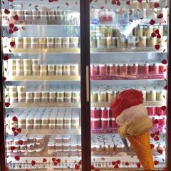 Grom Gelato 여행 사진