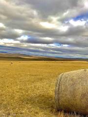 Jingxi Grassland