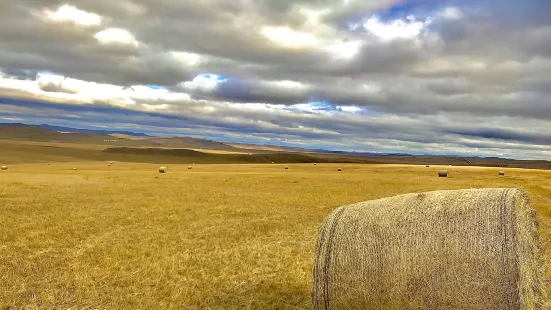 Jingxi Grassland