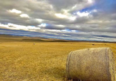 Jingxi Grassland