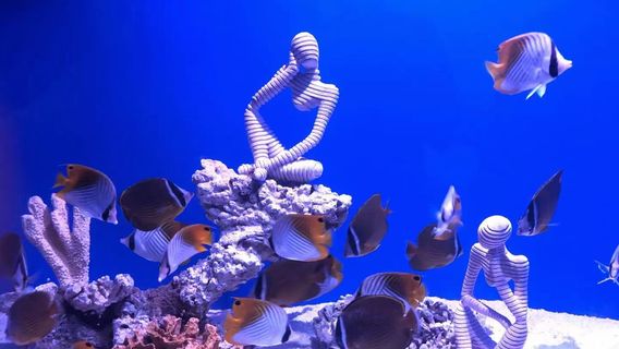 Haichang Ocean Secret Arium