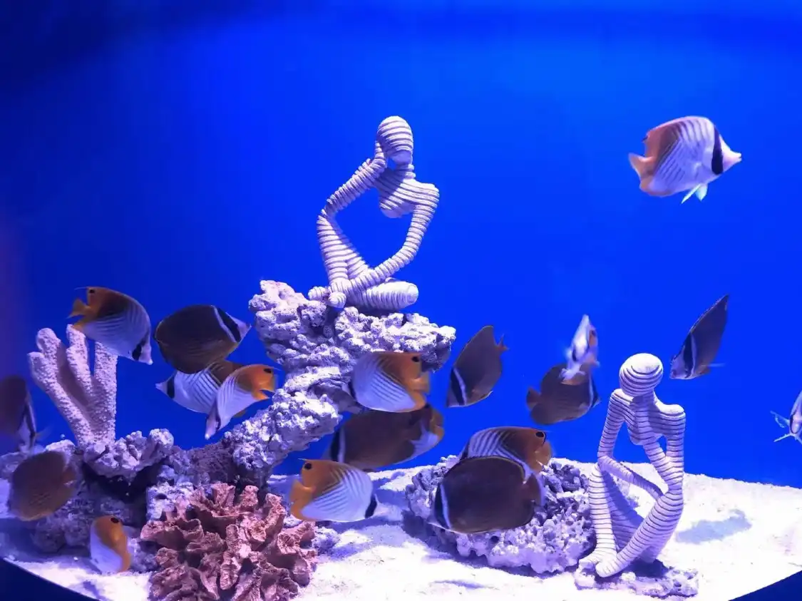 네이장 하이창 해양탐험관 주변 호텔