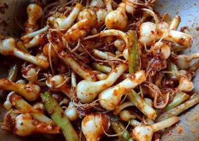 Mum Aroi Como Khao Cheechan