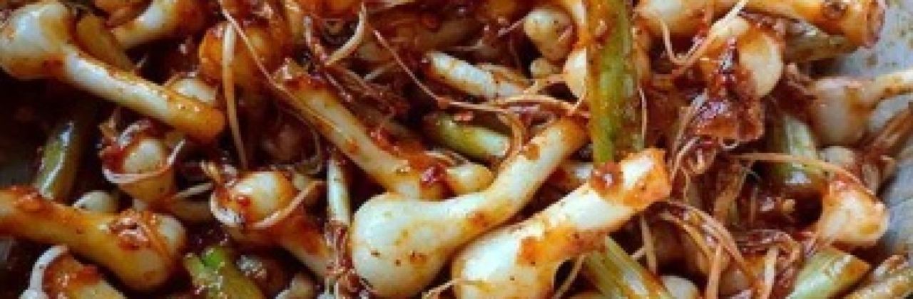 Mum Aroi Como Khao Cheechan