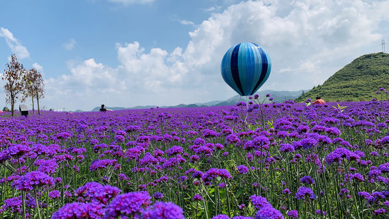 Beautiful Countryside