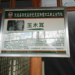 老迟头休闲农庄 여행 사진
