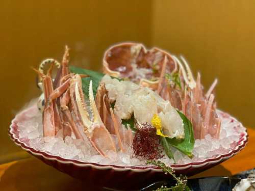 IKOI JAPANESE RESTAURANT PRIVATE LIMITED