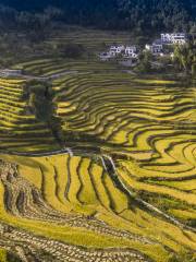 Wuyun Mountain Terrace Ecotourism Area