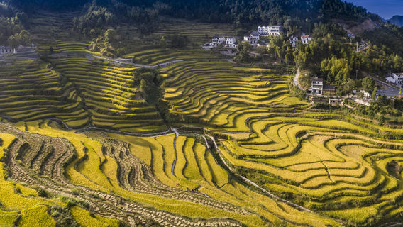Wuyun Mountain Terrace Ecotourism Area